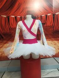 Costume da Spettacolo COD.d190 Tecnodanza